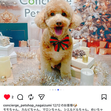 クリスマス散髪