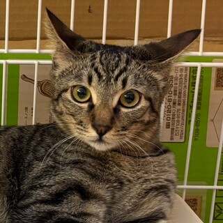 2/15カインズ浦和美園参加