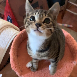 お膝大好き♡な女の子