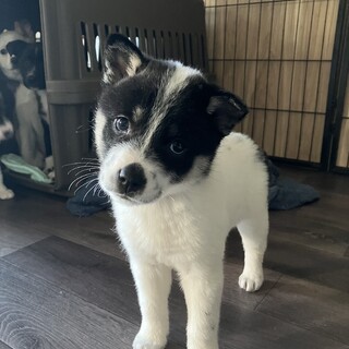 寒い中生きてきました