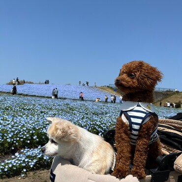 海の中道にお散歩
