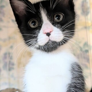 くしゃみちゃん♡