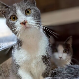 抱っこ大好き！明るく元気な女の子♡もっこ