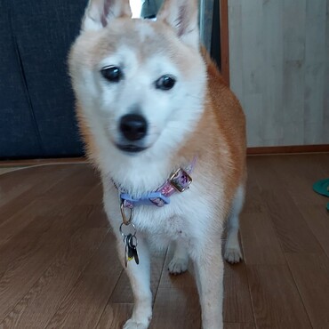 ええ～( ´ﾟдﾟ)つゆくん？？もしかして女子？　私も葵姐さんも赤ちゃん居たこと有るけど(;´∀｀)