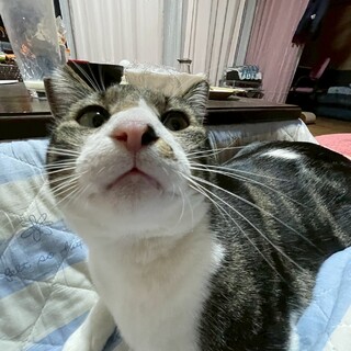 あまえ上手なチュルくん❣️