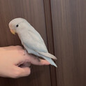募集停止中