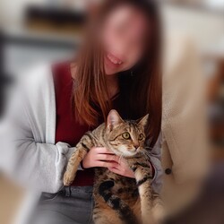 保護猫譲渡会Cat'seye サムネイル3