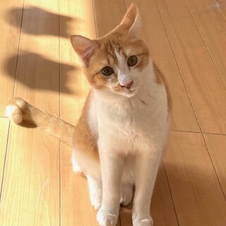 天真爛漫、遊びたい！甘えたい！祐（たすく）くん