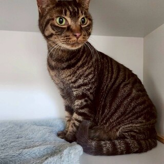 ［ロイくん］やさしくて慎重な男の子