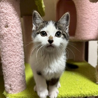 【2/14東銀座】詩丸くん★２ヵ月♪