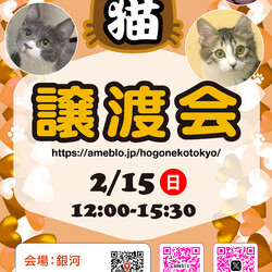 ほごねこ東京譲渡会＠駒込