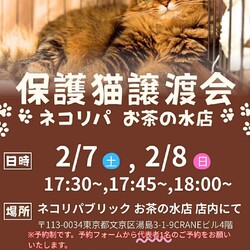 【保護猫譲渡会＠ネコリパ東京 お茶の水店】