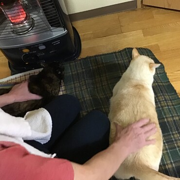 倖ちゃん・葵ちゃんと一緒で、僕も「幸せ」たくさん産んでるよ、姉貴と一緒にね！