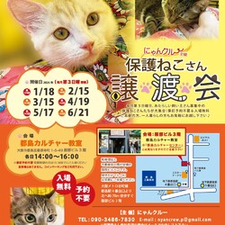 にゃんクルー保護猫さん譲渡会 サムネイル2