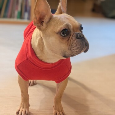 初めてのお洋服