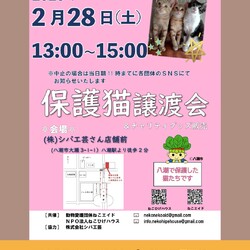 子猫～シニア猫❤埼玉県八潮市　㈱シバ工芸店舗前(TX線八潮駅から徒歩２分)