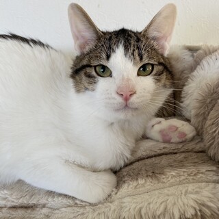 抱っこOk たあくん　5ヶ月