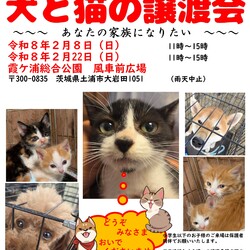 犬猫譲渡会～あなたの家族になりたい～　　　　　　　　 サムネイル1