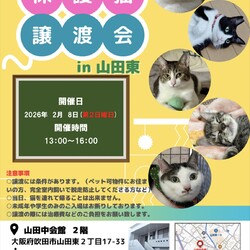 第２６回nekomeeting保護猫譲渡会in山田東