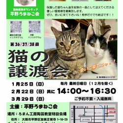 第37回 平野ろまねこ譲渡会 サムネイル1