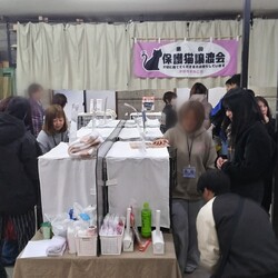 第37回 平野ろまねこ譲渡会 サムネイル2