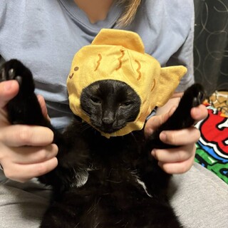 大切に育ててくれる方募集！