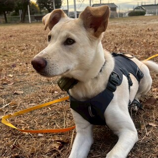 無邪気で元気いっぱいのみゆき！