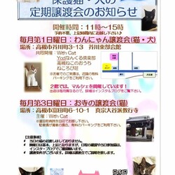 お寺の譲渡会 サムネイル2