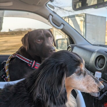 ドライブも楽しめる様になったみたいな　ココアです