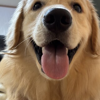 甘えん坊の男の子