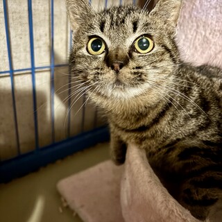 人馴れ抜群☆丸顔の和子ちゃん