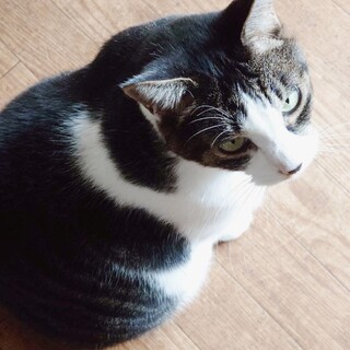 �V�j�A���܂��܂����C�ȃ��N����