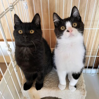 愛嬌たっぷり♡まんまる仲良し兄妹