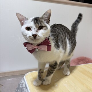 ���ς��V�эD���I�w���J�N�x�T����