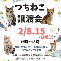 つちねこ譲渡会 サムネイル1