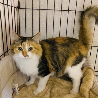 �l����D��??��??������ԁ����L�̍ʂ����