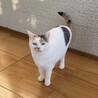 丸顔が可愛いくて穏やか‪‪❤︎‬ふくちゃん サムネイル2