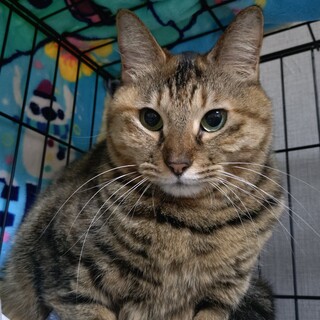 まんまるお顔のお嬢様♡チーちゃん♡