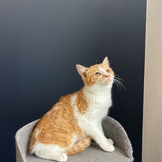 ���t���t?��??�Ԃ�ȓ��̃u�u�J�N6����