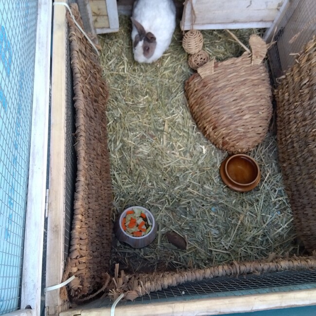 ぷにゅぽんのカバー写真