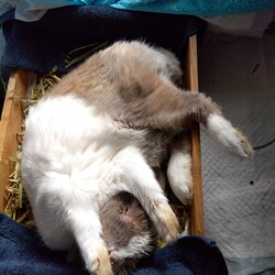 2月６日 お昼寝