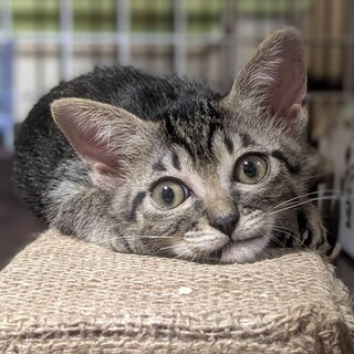 ♡笑い顔❤️ひなちゃん