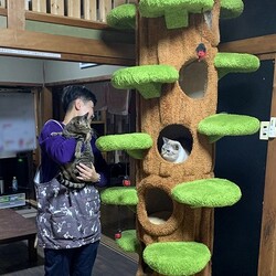 「猫の駅」保護猫譲渡会 サムネイル3