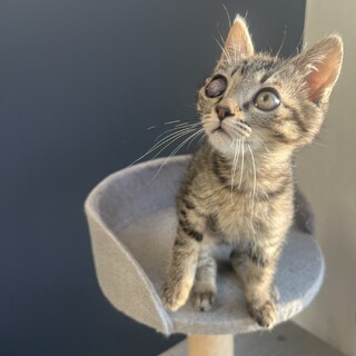 ��ʒu�͂��G�̏�ł�?��??�߂��܌N3����