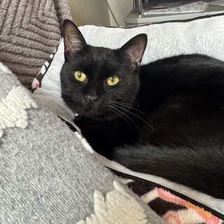 ෆ⃛元気いっぱいෆ⃛ピピくん