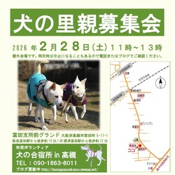 「犬の合宿所in高槻」の里親募集会