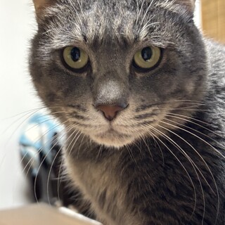 ෆ⃛人馴れ抜群ෆ⃛だいちゃん