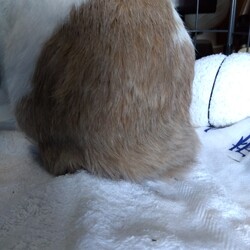 2月7日 日が差さんぞ！