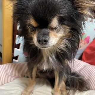 穏やかな癒し系、イケメン男子のアピタ君