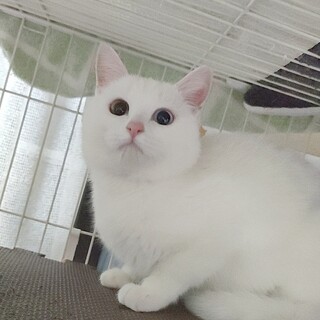 ホッとさせてくれる癒し系❥❥ミルキーちゃん